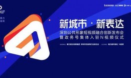 爆料类型视频,视频内容深度解析