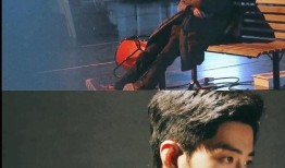 肖战圈内爆料近期,揭秘娱乐圈背后的真相