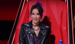 是谁爆料的李玟录音视频,揭秘背后真相