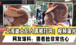 网友爆料狗熊视频大全集,狗熊视频大全集，趣味横生瞬间集结