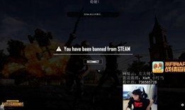 新号锤爆料视频,幕后真相大曝光