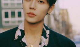 直播爆料林彦俊事件视频,真相揭秘与舆论风波