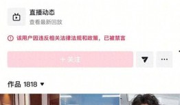 小影夫爆料视频在线观看,揭秘幕后真相，带你走进事件核心