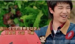 爆料娱乐圈华晨宇,娱乐圈爆料背后的音乐奇才