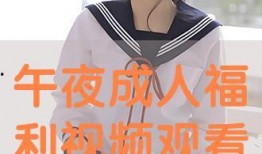 大人在线观看,揭秘网络时代的观影新趋势