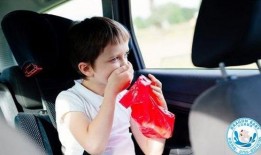 娱乐吃瓜酱你为什么晕车,揭秘晕车背后的趣味真相