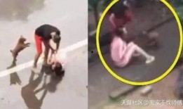 重庆爆料男子被打视频,街头暴力冲突引发社会关注