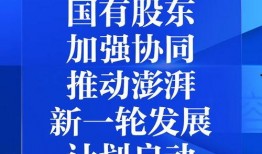 给澎湃新闻爆料的是谁啊,揭秘澎湃新闻爆料者身份之谜