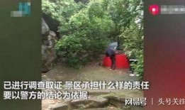 邯郸大树爆料事件始末视频,揭秘真相与争议
