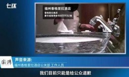 酒店爆料者视频,爆料者视频曝光惊人真相