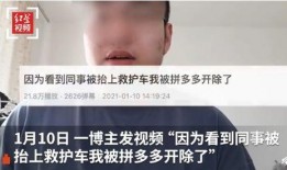 拼多多爆料员工视频