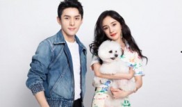 李佳琦和杨幂最新爆料,揭秘娱乐圈幕后真相！