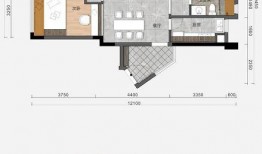 八卦大爆料最新2021