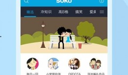 爆料小莎老师视频下载安装,揭秘小莎老师视频下载安装全过程