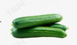 51fun免费吃瓜教程,轻松解锁美食盛宴