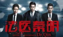 电视剧全集在线观看,精彩剧情一网打尽