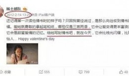 明星文字爆料大全最新,揭秘娱乐圈幕后真相