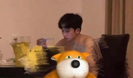 网友爆料狗熊视频大全集,狗熊视频大全集，趣味横生瞬间集结