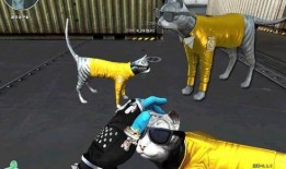 cat最新爆料,揭秘猫咪不为人知的秘密生活