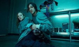 人工进化在线观看免费,免费在线观看之旅