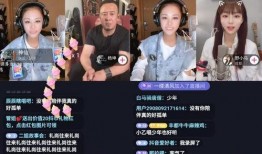 抖音音乐人最新爆料视频,揭秘热门歌曲背后的故事与幕后制作