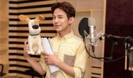 上海何炅最新爆料,揭秘娱乐圈不为人知的幕后故事