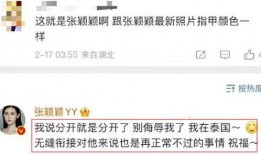 张颖颖被葛斯齐爆料视频,真相背后引热议