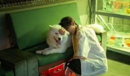 王源谈恋爱爆料了吗视频,甜蜜视频引发网友热议