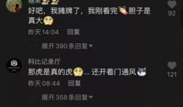 厦门事件爆料视频最新,视频揭露惊人内幕