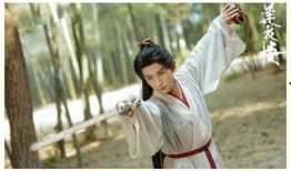 成毅爆料妹妹视频大全,温馨家庭视频大盘点