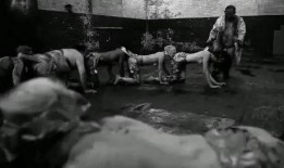 人体蜈蚣在线观看手机,惊悚悬疑，揭秘人体极限的恐怖之旅