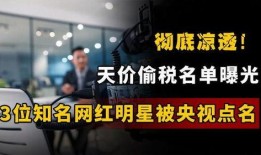 明星偷税爆料视频大全集,明星偷税事件视频大全集深度剖析
