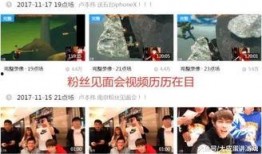 王琳爆料视频播放在线观看,揭秘娱乐圈幕后真相