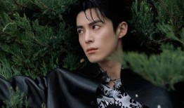 爆料娱乐圈王鹤棣是谁的粉丝,娱乐圈新晋偶像的忠实拥趸