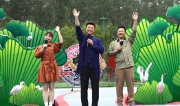 莆田媒婆最新爆料视频,一场惊心动魄的婚姻交易内幕