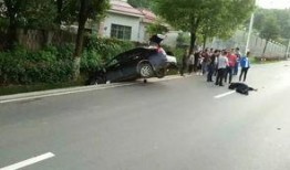 宁波爆料老人死亡事件最新,真相调查与社区反响揭秘