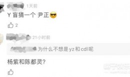 刘大锤爆料战绩视频,惊心动魄的电竞瞬间