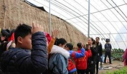 安丘新闻爆料记者,记者深入调查，揭示事件真相