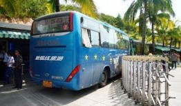 28路公交车爆料新闻