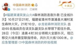 福建爆料最新新闻事件,惊曝XX事件引发社会关注