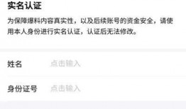 视频爆料达人怎么赚钱的,如何通过爆料内容实现财富增长