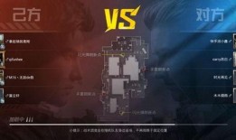 和平精英终极大爆料视频,全新内容抢先看，揭秘游戏新篇章