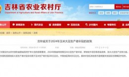 蕲春论坛爆料信息最新,揭秘当地神秘事件真相！