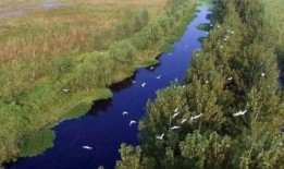 汊河最新爆料视频曝光,惊人真相曝光！